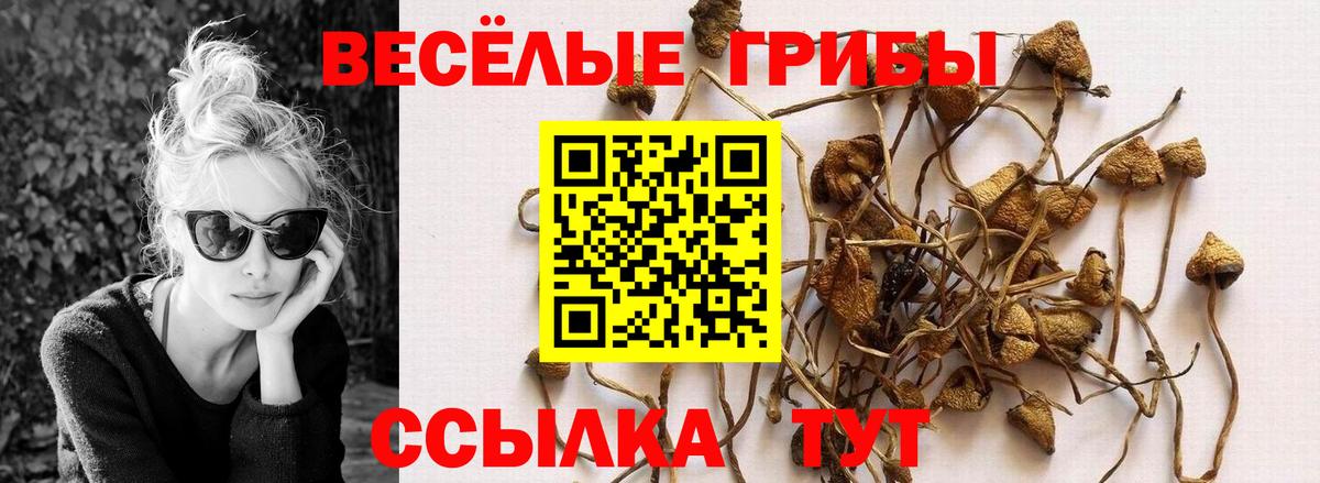 Псилоцибиновые грибы Magic Shrooms  Псилоцибиновые грибы Magic Shrooms  Вход с VPN  Знаменск 